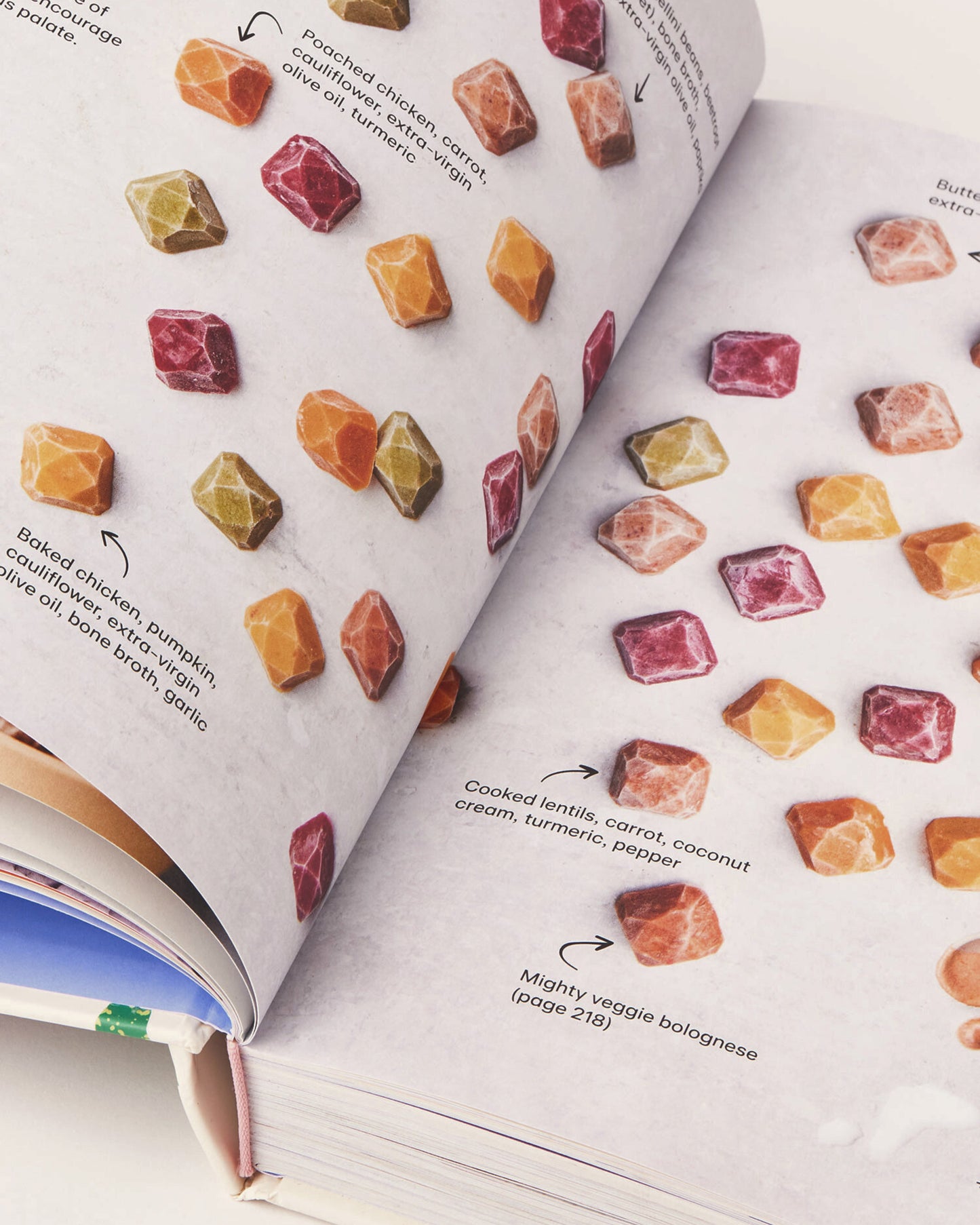 Baby Food Bible