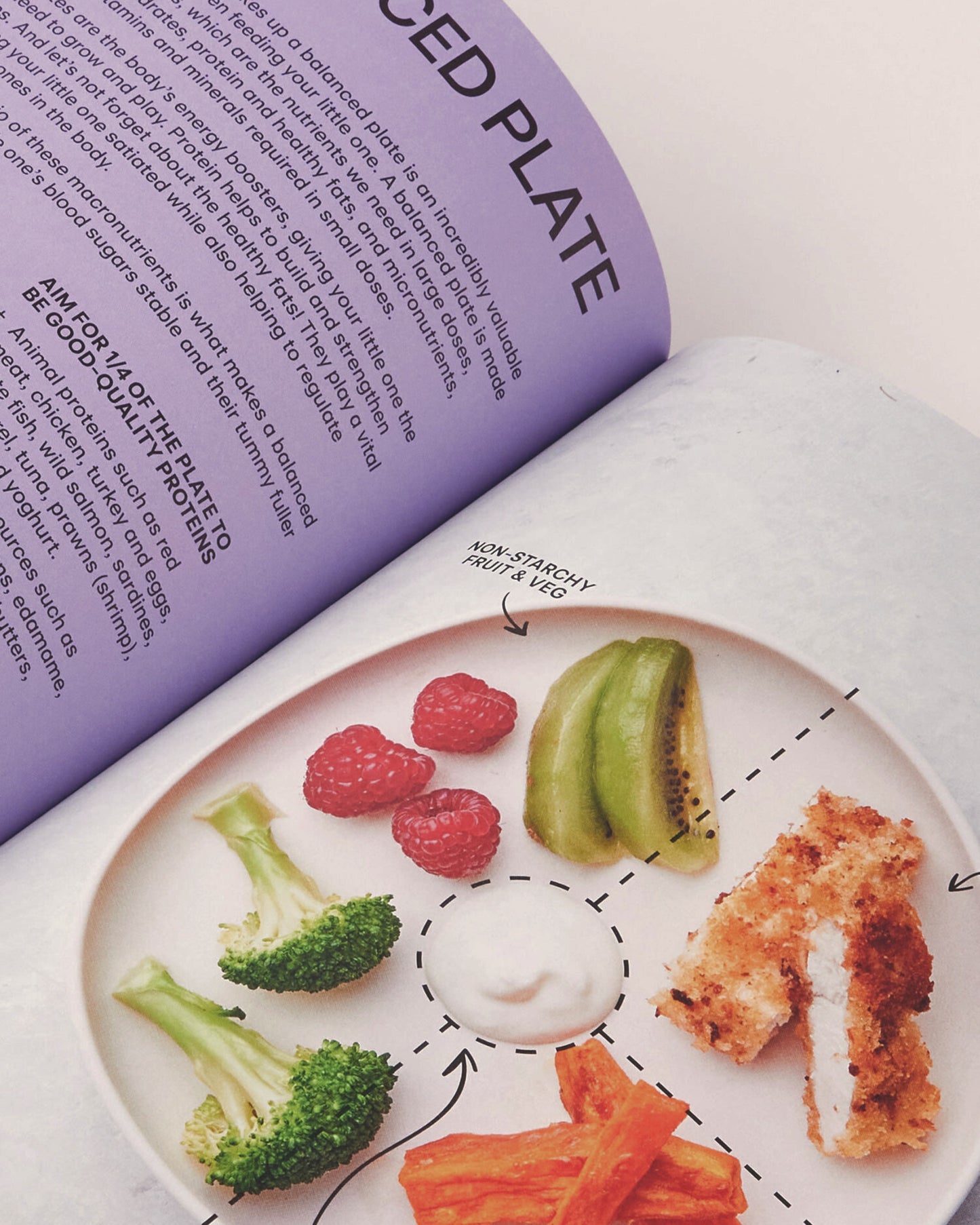 Baby Food Bible