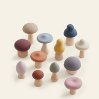 Woodland Mushrooms